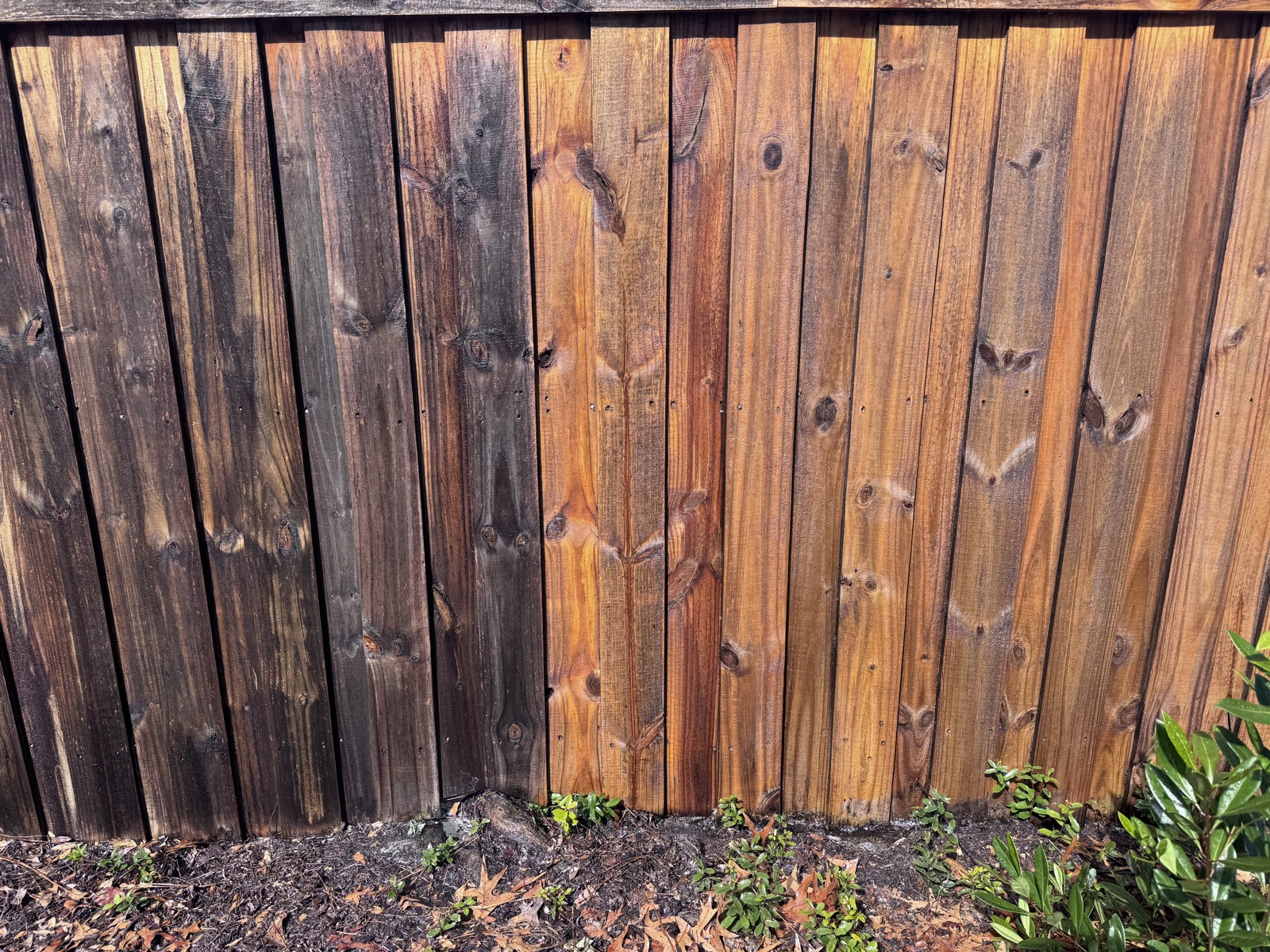 Wooden fence part-way through a wash — grey weathered boards beside clean golden ones, Wilmington NC