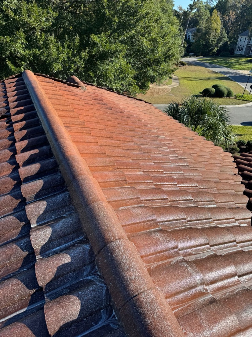Clay tile roof half cleaned — clean tiles beside stained ones